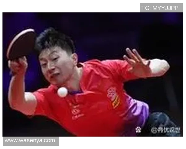 2015年水谷隼与马龙巅峰对决精彩回顾与赛后分析