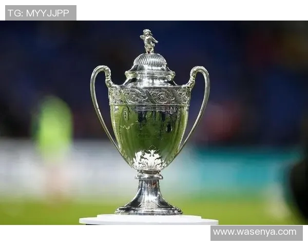 布雷斯特与奥尔良比赛结果分析及精彩瞬间回顾 布雷斯特与奥尔良比赛结果分析及精彩瞬间回顾