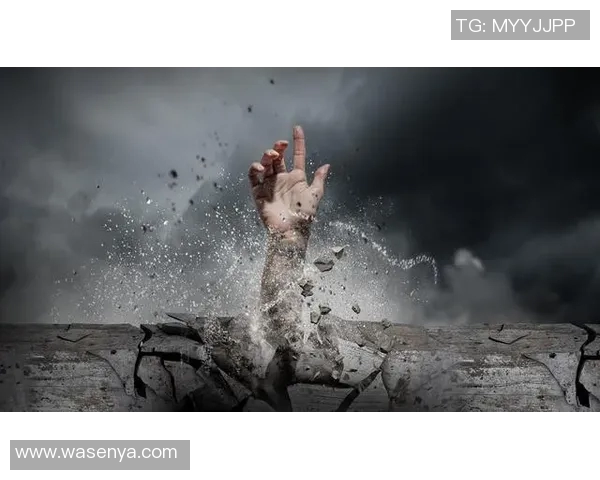 张帆的奋斗之路:从平凡到卓越的成长故事与人生哲学 张帆的奋斗之路:从平凡到卓越的成长故事与人生哲学