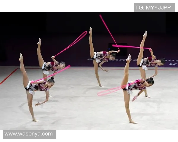 拉普拉塔体操与坦的较量探秘体操艺术的魅力与挑战