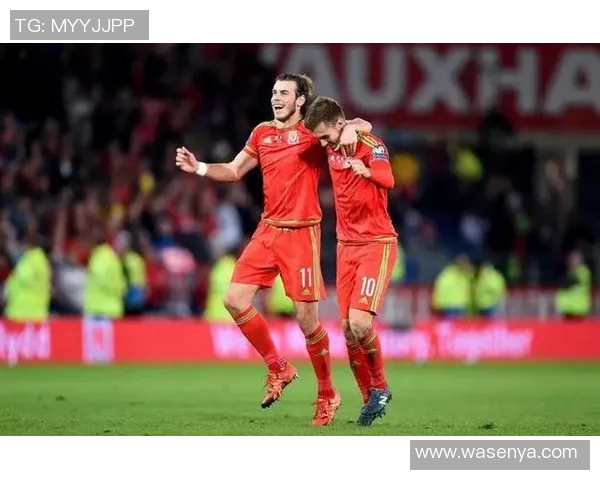 威尔士与克罗地亚精彩对决录像回放全程分析与精彩瞬间回顾