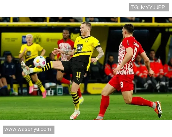 多特蒙德球迷骚乱引发欧冠禁赛三场及50万欧元罚款