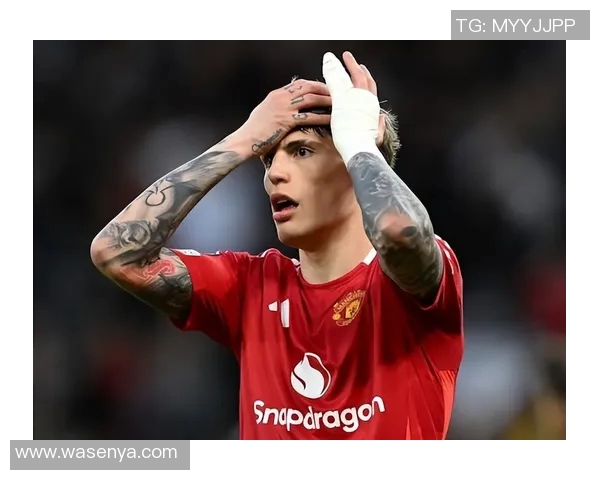 若昂内维斯：从新星崛起到足球巨星的华丽转身与未来展望