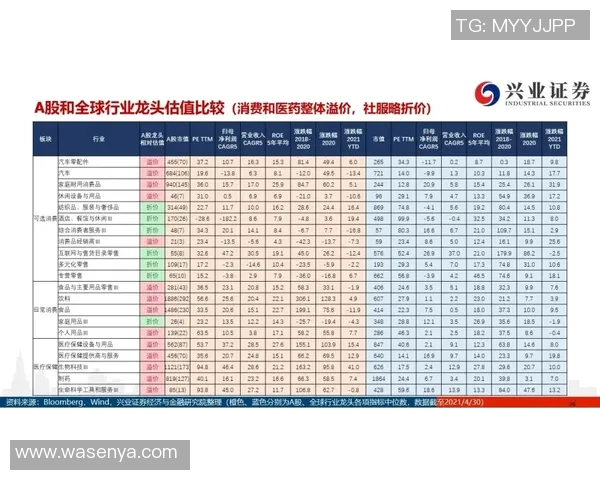 劳塔罗：从天才少年到足球巨星的辉煌成长之路与未来展望