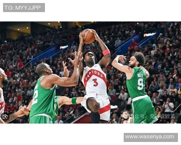 卡尔特人对阵猛龙精彩直播全程回顾与赛后分析