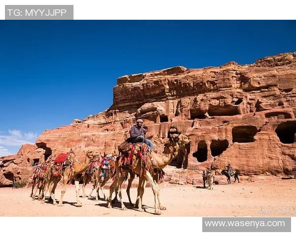 探索阿拉巴的魅力与文化底蕴,体验独特的风土人情与自然风光 探索阿拉巴的魅力与文化底蕴,体验独特的风土人情与自然风光