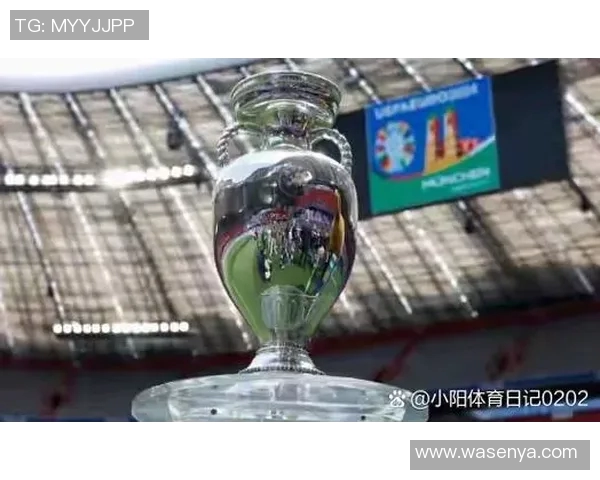 澳大利亚与西班牙精彩对决全场录像回放及精彩瞬间分析