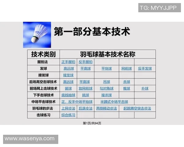 羽毛球战术解析：探秘北京羽毛球队的全面压制战术体系与实战应用