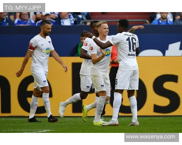 赫塔与沙尔克激战正酣谁能在德甲赛场上笑到最后