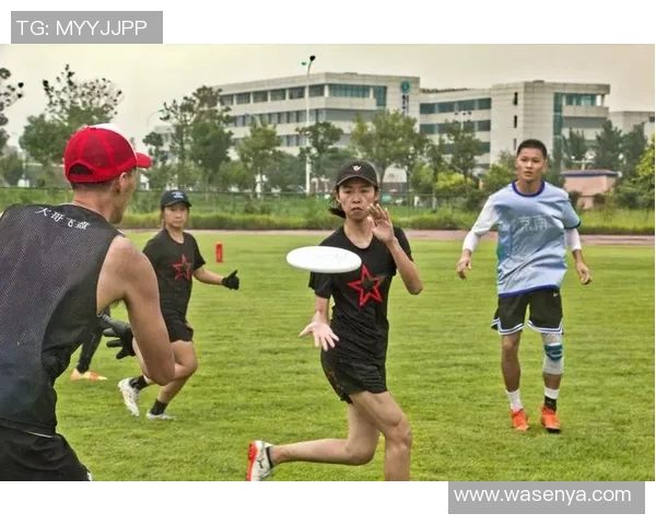 飞盘纪实：见证成都飞盘队从萌芽到辉煌的成长历程与转型故事