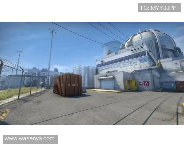 CSGO热点分析RNG战队在比赛中的控制策略与战术解析