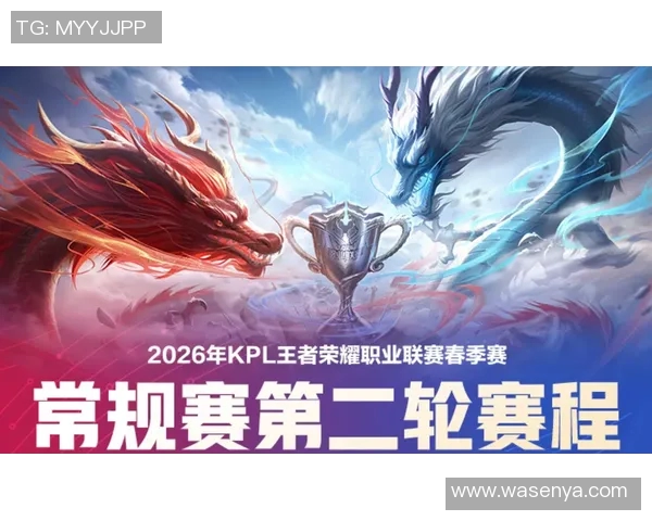 王者荣耀纪实：探寻JDG战队的蜕变与成长之路